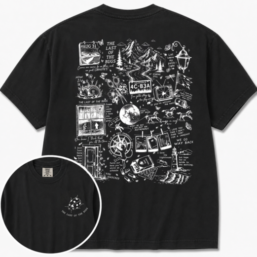 The Divide NK Comfort Colors Shirt, The Last Of The Bugs Tee, Vintage Concert Merch Shirt