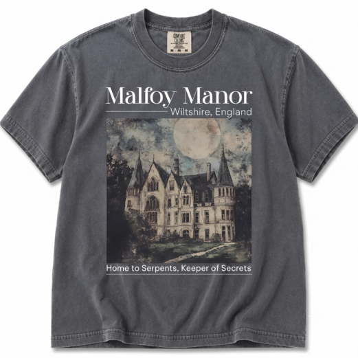 Dramione era Manacled merch Fanfiction Comfort Colors shirt Booktok Bookish merch, Wizard world tee, Dark Academia clothing gift for Readers