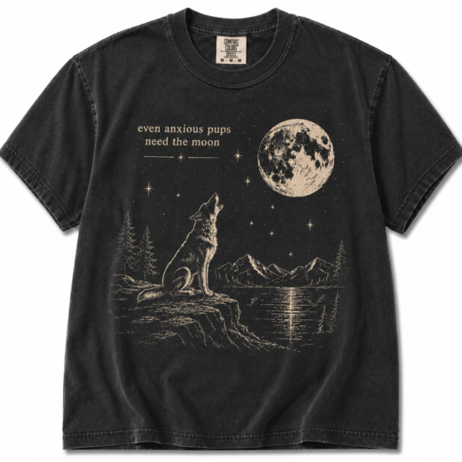 Orbiter Song Inspired Shirt, NK Indie Folk Tee, Retro Moon Tee, The Divide Tour Shirt